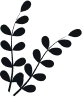 leap 4.png